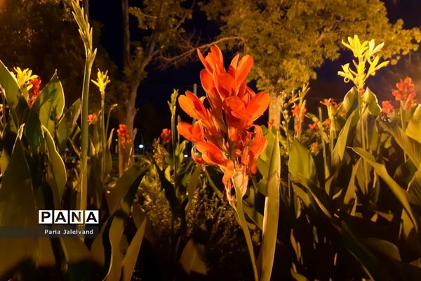 آرامگاه حیقوق نبی