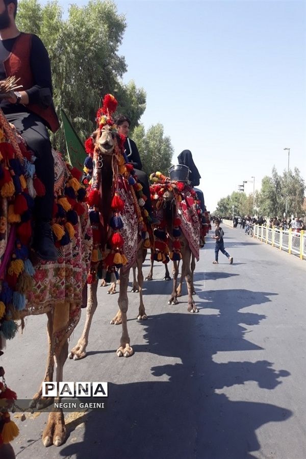 حرکت کاروان نمادین اسرای کربلا در قم