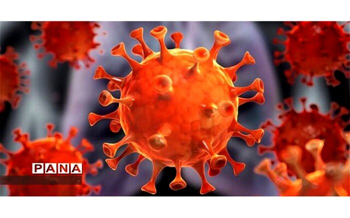 بستری‌های کرونایی در خراسان‌شمالی از ۹۰۰ نفر گذشت