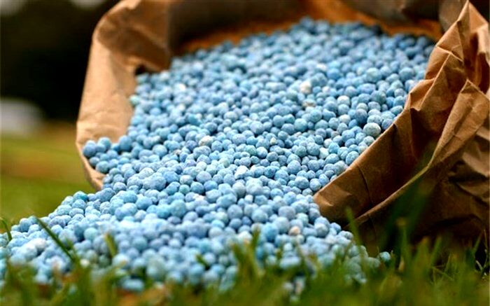 ۴۵۰ هزار تن انواع کود یارانه‌ای برای کشت پاییزه تامین شد