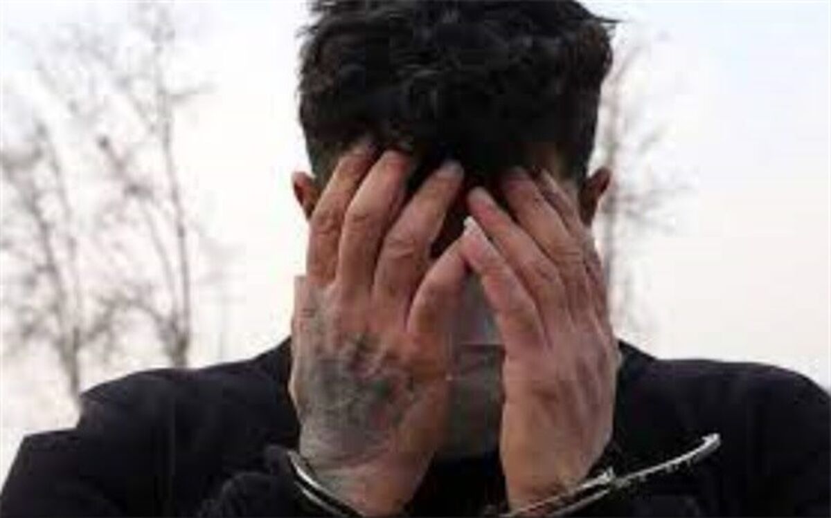 سارقی که در دیوار مخفی می‌شد