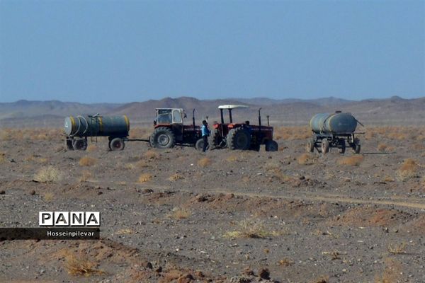 پروژه نهالکاری در منطقه شهرستان خور