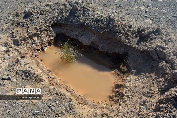 پروژه نهالکاری در منطقه شهرستان خور