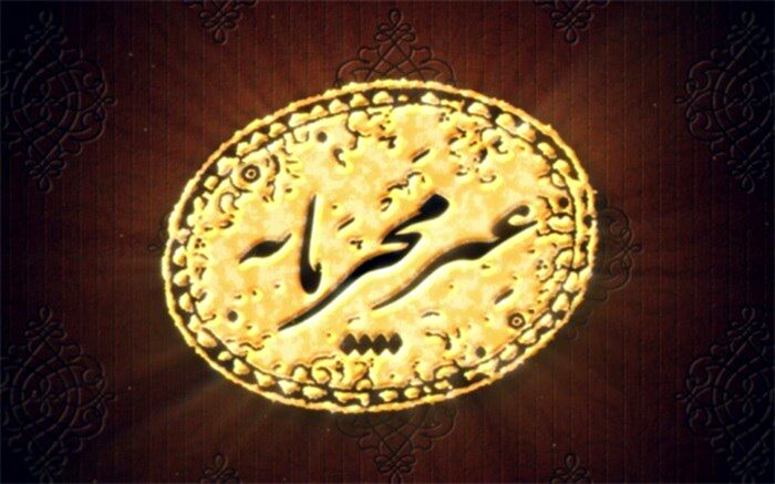 نگاه به حوزه کسب و کار مشاغل خانگی باید بلند محور باشد