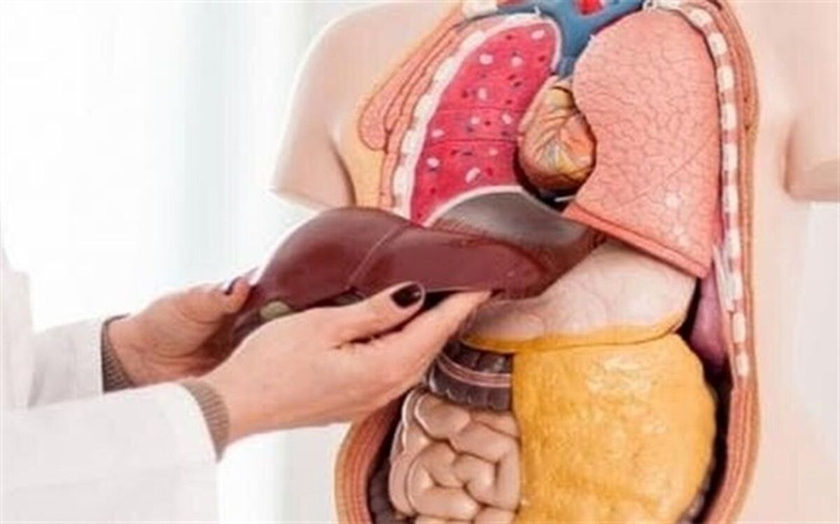بدون این 10 عضو هم زنده می مانید!