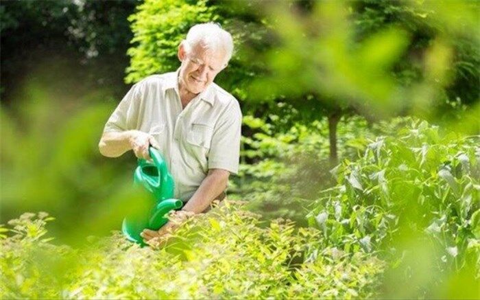 تجربه کشورهای موفق در توانمندسازی اقتصادی سالمندان