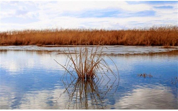آخرین وضعیت تالاب‌های آذربایجان شرقی در فصل خشکسالی