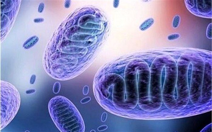 چه کسانی مستعد قارچ سیاه هستند؟