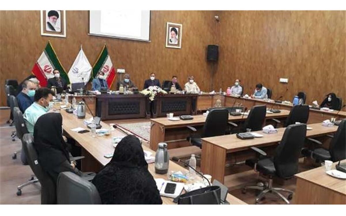 آسیب های آموزش های غیرحضوری در نیشابور مورد بررسی قرار گرفت