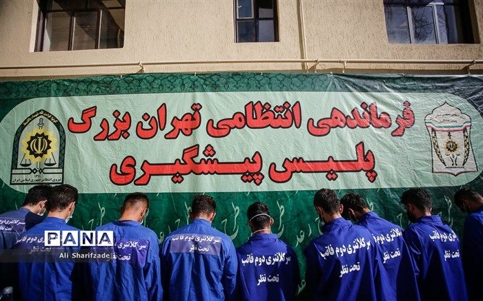 دستگیری ۶٠١ سارق و مالخر در پایتخت