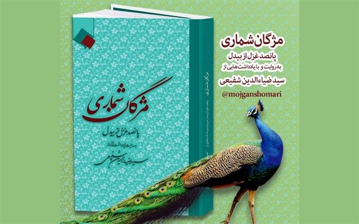 تالیف کتاب «مژگان شماری»از غزل‌های بیدل به پایان رسید