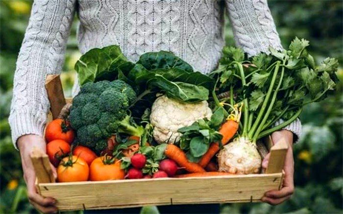 نشانه‌های کمبود مصرف سبزیجات را بدانید