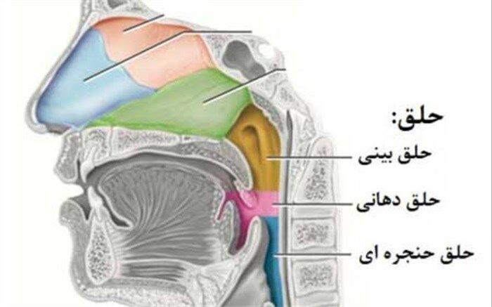 راهکارهای خلاصی از خلط
