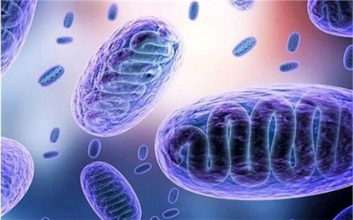 ماسک‌های اکسیژن عاملی برای ابتلا به قارچ سیاه