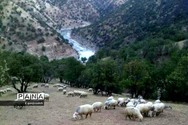 جاذبه های طبیعی روستای مَمَسَنی