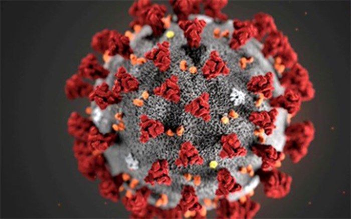 بستری 272 بیمار در بخش‌های کرونایی در بیمارستان‌های استان بوشهر