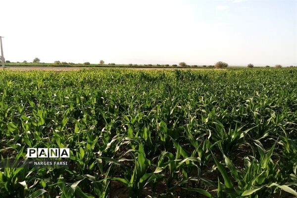 دیدنی های تاریخی و طبیعی روستای دولت آباد قم