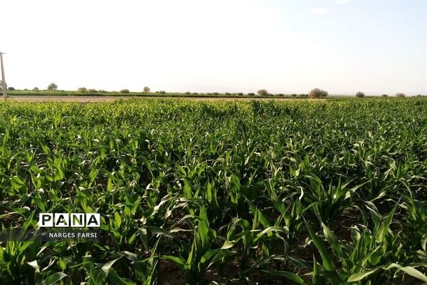 دیدنی های تاریخی و طبیعی روستای دولت آباد قم
