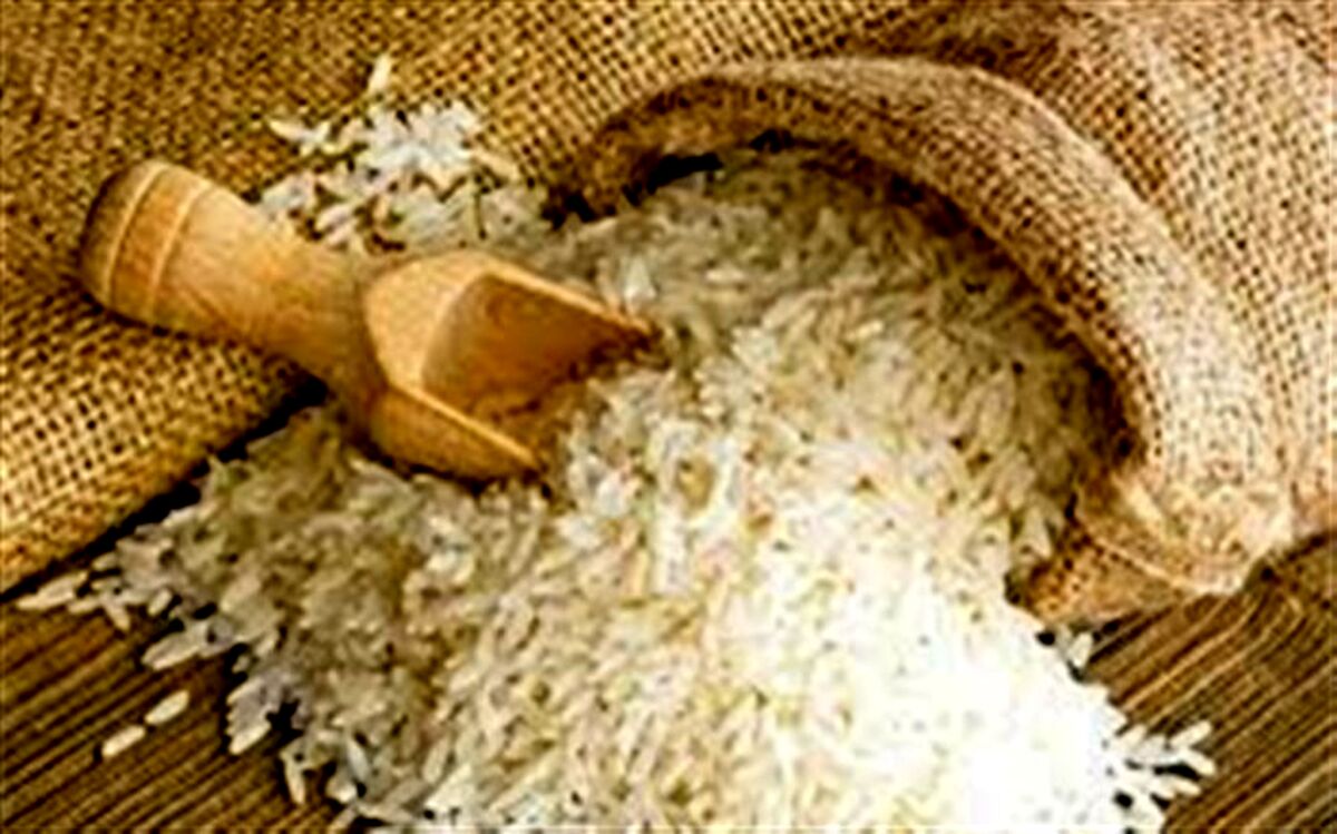 کاهش 18.5 درصدی تولید برنج و تامین نیاز از محل واردات