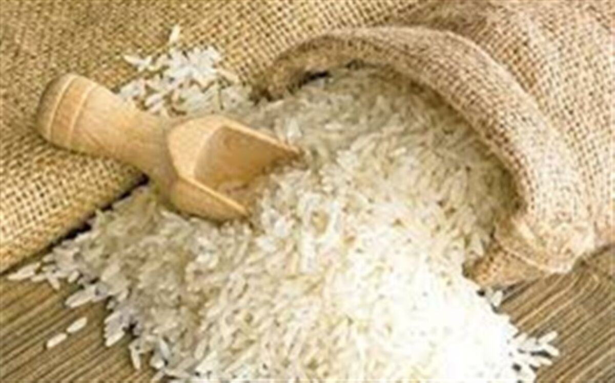 کاهش 18.5 درصدی تولید برنج و تامین نیاز از محل واردات