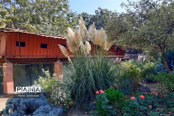 پارک طالقانی