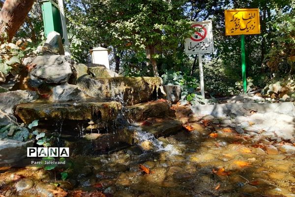 پارک طالقانی