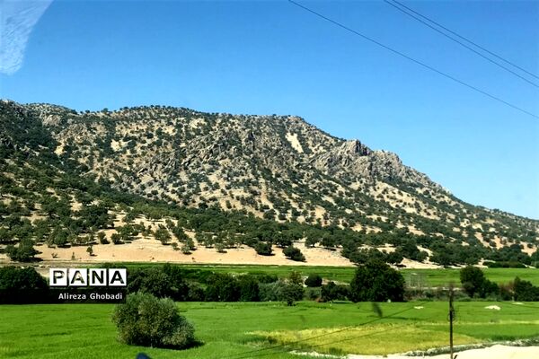 طبیعت زیبای نورآباد ممسنی استان فارس