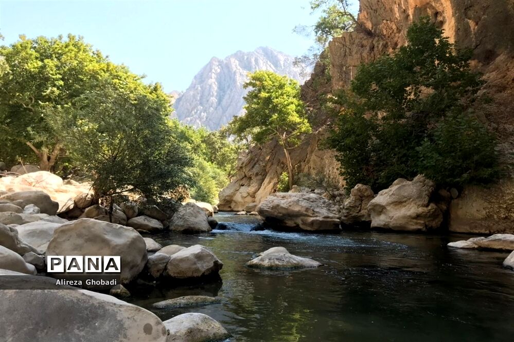 طبیعت زیبای نورآباد ممسنی استان فارس