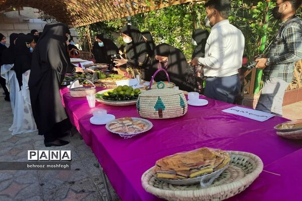 بازدید معاون رئیس جمهور از روستای گردشگری طویبه