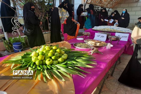 بازدید معاون رئیس جمهور از روستای گردشگری طویبه
