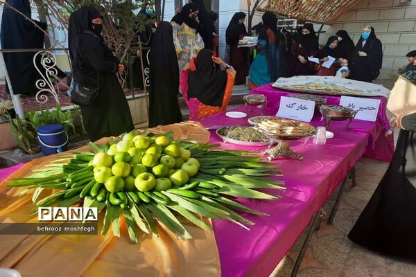 بازدید معاون رئیس جمهور از روستای گردشگری طویبه