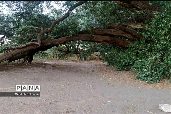 آستان مقدس و گردشگری امامزاده شمس الدین فسون