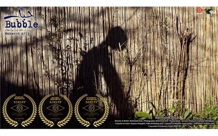 ۳ جایزه برای فیلمساز گیلانی در جشنواره بین المللی فیلم مستقل برزیل