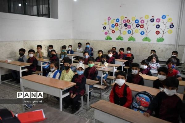 برگزاری جشن شکوفه ها در کاشان