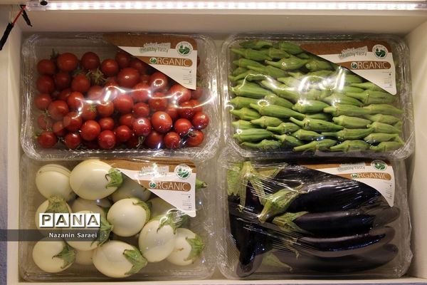 برگزاری سه نمایشگاه در محل دائمی نمایشگاه‌های بین‌المللی تهران