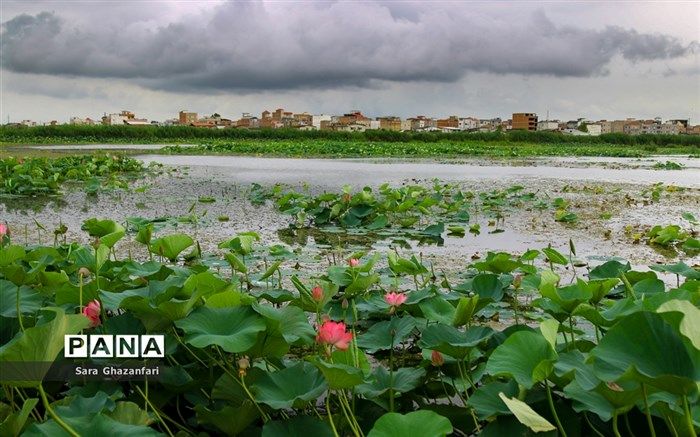 سومین جشنواره «ایده‌ها و محصولات نوآورانه» طرح حفاظت از تالاب‌های ایران برگزار شد