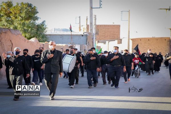 پیاده‌روی جاماندگان اربعین به آستان امامزاده سید صالحه