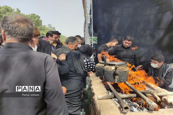 برگزاری همایش بزرگ پیاده روی حرم تا حرم در کاشمر