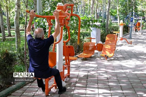 روز جهانی سالمند