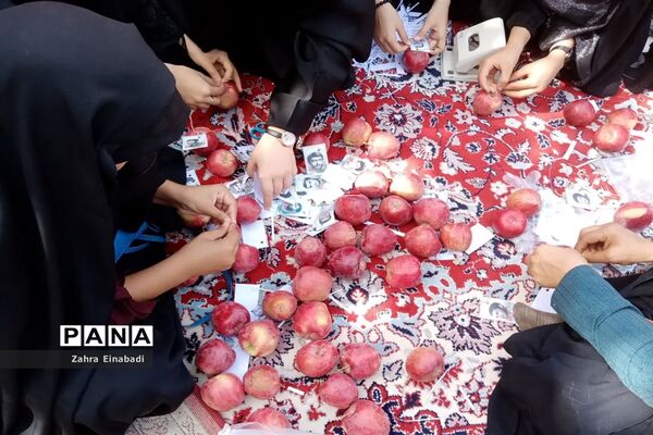 برگزاری نمایشگاه به مناسبت ۲۸ صفر در شهرستان ملارد
