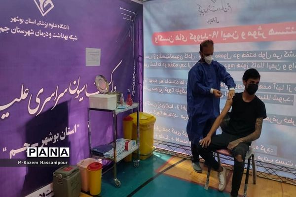 واکسیناسیون سراسری علیه بیماری کووید 19 در شهرستان جم