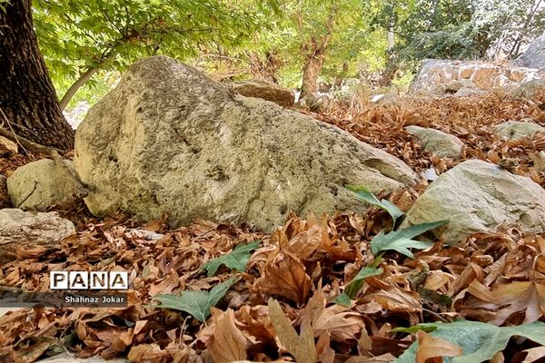 طبیعت زیبای تنگ فراشبندی دشمن زیارى
