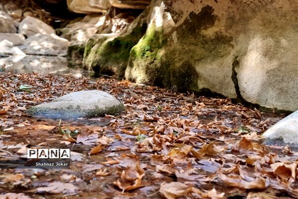 طبیعت زیبای تنگ فراشبندی دشمن زیارى