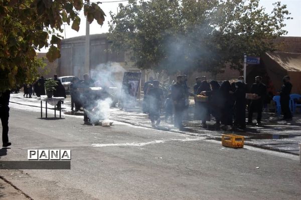 مراسم پیاده‌روی به مناسبت ۲۸ صفر در مهردشت ابرکوه