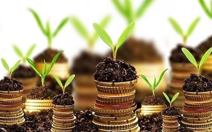 روند عمومی سرمایه گذاری در کشور نزولی در ده سال اخیر نزولی شد