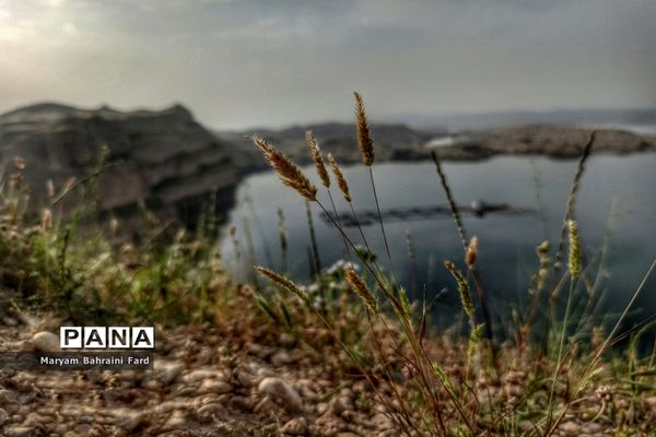 سد مخزنی رئیس‌ علی دلواری در بخش شبانکاره استان بوشهر