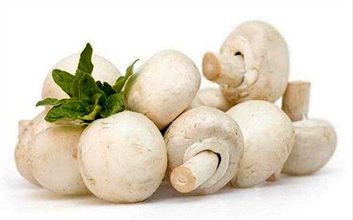 ارتباط مصرف بیشتر قارچ با کاهش خطر ابتلا به سرطان
