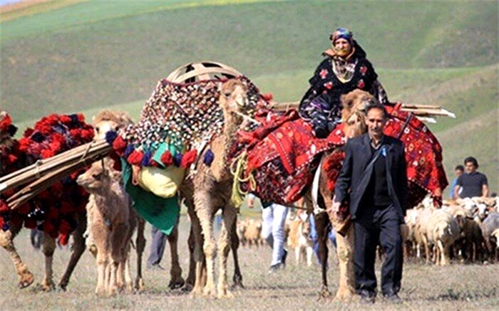 کاهش بارندگی عشایررامجبور به فروش دام‌هایشان کرد
