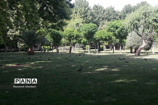 حال و هوای بوستان‌ها در ایام تمدید وضعیت قرمز کرونایی