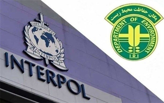 همکاری اینترپل و یگان محیط زیست برای کاهش قاچاق حیات وحش